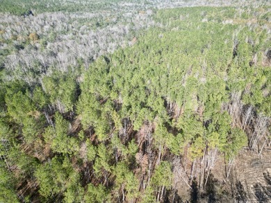 Located between Goodway and Frisco City, this contiguous tract - photo 25