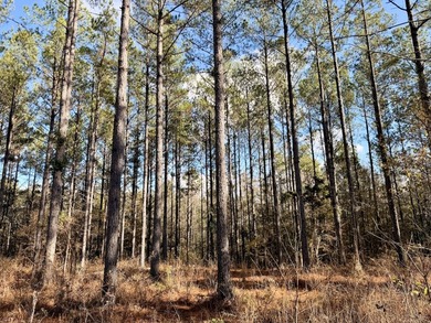 Located between Goodway and Frisco City, this contiguous tract - photo 26