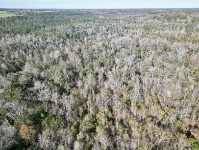 Located between Goodway and Frisco City, this contiguous tract - photo 27