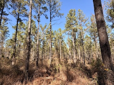 Located between Goodway and Frisco City, this contiguous tract - photo 28