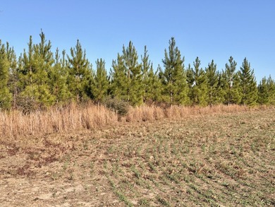 Located between Goodway and Frisco City, this contiguous tract - photo 29
