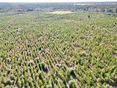 Located between Goodway and Frisco City, this contiguous tract - photo 30