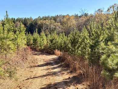 Located between Goodway and Frisco City, this contiguous tract - photo 31