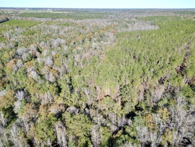 Located between Goodway and Frisco City, this contiguous tract - photo 32