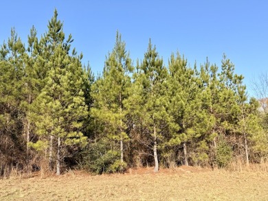 Located between Goodway and Frisco City, this contiguous tract - photo 33