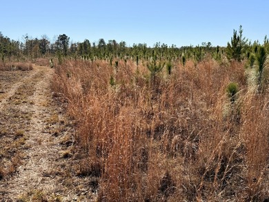 Located between Goodway and Frisco City, this contiguous tract - photo 34