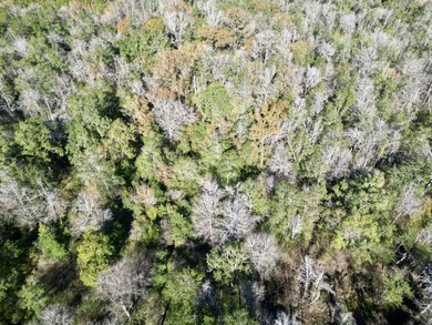 Located between Goodway and Frisco City, this contiguous tract - photo 35