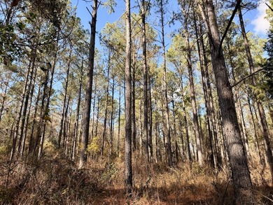 Located between Goodway and Frisco City, this contiguous tract - photo 36