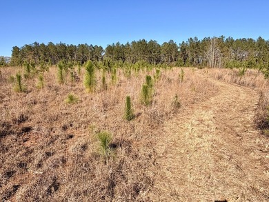 Located between Goodway and Frisco City, this contiguous tract - photo 37