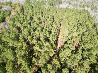 Located between Goodway and Frisco City, this contiguous tract - photo 38