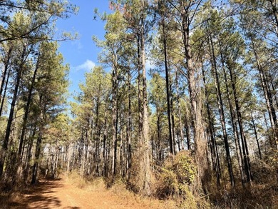 Located between Goodway and Frisco City, this contiguous tract - photo 40