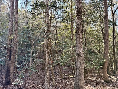 Located between Goodway and Frisco City, this contiguous tract - photo 41