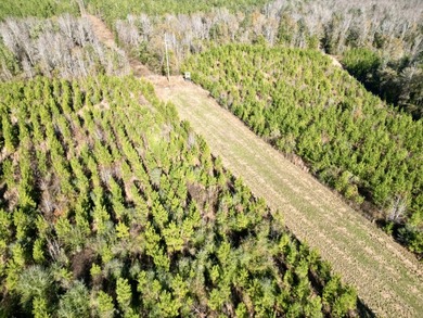 Located between Goodway and Frisco City, this contiguous tract - photo 42