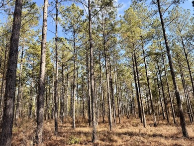 Located between Goodway and Frisco City, this contiguous tract - photo 43