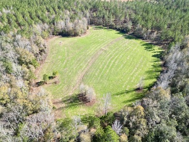 Located between Goodway and Frisco City, this contiguous tract - photo 45