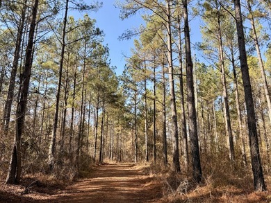 Located between Goodway and Frisco City, this contiguous tract - photo 46