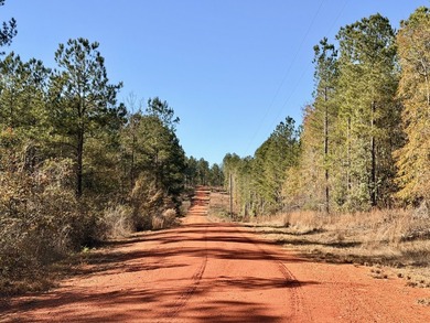 Located between Goodway and Frisco City, this contiguous tract - photo 47
