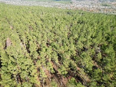 Located between Goodway and Frisco City, this contiguous tract - photo 48