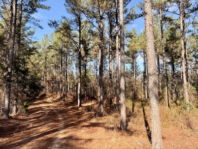 Located between Goodway and Frisco City, this contiguous tract - photo 49