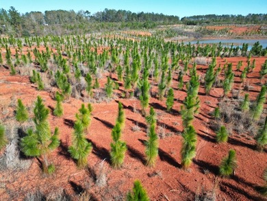 Located between Goodway and Frisco City, this contiguous tract - photo 50