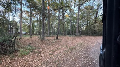 Discover an affordable opportunity to own a piece of East Texas - photo 1