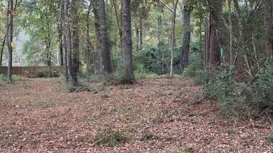 Discover an affordable opportunity to own a piece of East Texas - photo 3