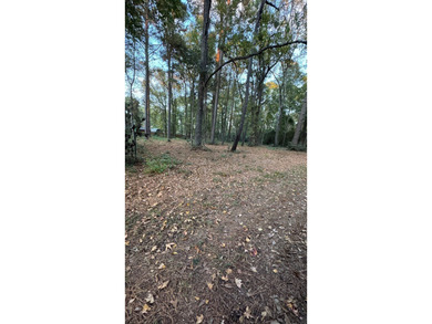 Discover an affordable opportunity to own a piece of East Texas - photo 5