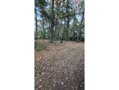 Discover an affordable opportunity to own a piece of East Texas - photo 7