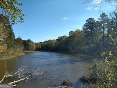 (private lake, pond, creek) Acreage For Sale in Juliette Georgia