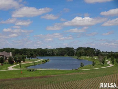 Williamsville Lake Lot For Sale in Williamsville Illinois
