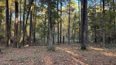 Discover an affordable opportunity to own a piece of East Texas - photo 2