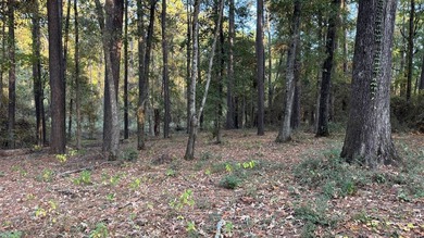 Discover an affordable opportunity to own a piece of East Texas - photo 3