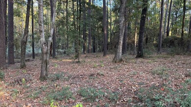 Discover an affordable opportunity to own a piece of East Texas - photo 4