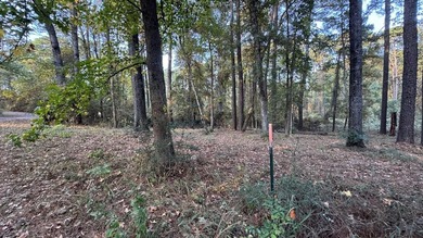 Discover an affordable opportunity to own a piece of East Texas - photo 5