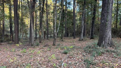 Discover an affordable opportunity to own a piece of East Texas - photo 6