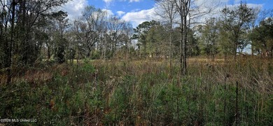 Prime Commercial or Residential Opportunity in Poplarville! This - photo 11
