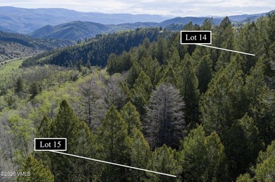 370 and 398 Peregrine offer two acres to build your private - photo 9