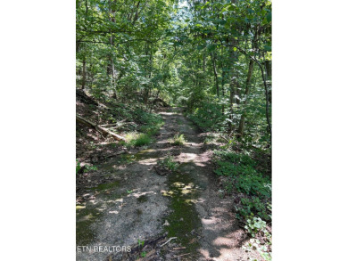 (private lake, pond, creek) Lot For Sale in Madisonville Tennessee