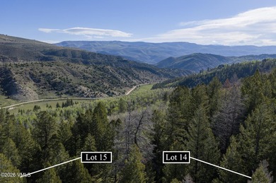 370 and 398 Peregrine offer two acres to build your private - photo 9