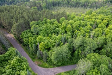 Lake Acreage For Sale in Presque Isle, Wisconsin