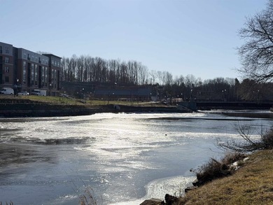 DOWNTOWN WATERFRONT - RIPARIAN RIGHTS - DEEPWATER ACCESS! - photo 7