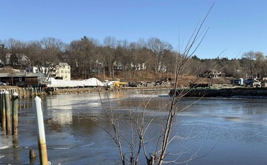 DOWNTOWN WATERFRONT - RIPARIAN RIGHTS - DEEPWATER ACCESS! - photo 9