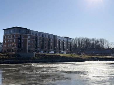 DOWNTOWN WATERFRONT - RIPARIAN RIGHTS - DEEPWATER ACCESS! - photo 10