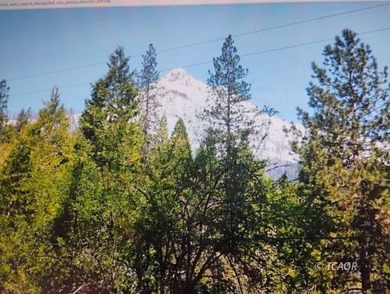 Trinity Lake Home For Sale in Coffee Creek California