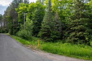 Lake Acreage For Sale in Presque Isle, Wisconsin