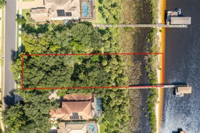 Lake Lot For Sale in Palm Coast, Florida