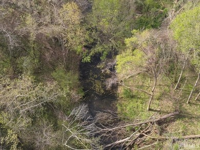 A rare Knox county land opportunity! This is an 8.12 acre - photo 4