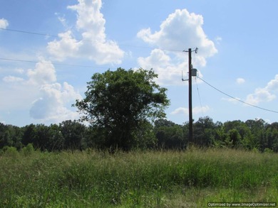 72.5 acres of open pastureland with dirt work started for a lake - photo 2