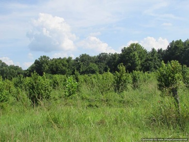 72.5 acres of open pastureland with dirt work started for a lake - photo 3