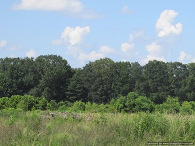 72.5 acres of open pastureland with dirt work started for a lake - photo 4